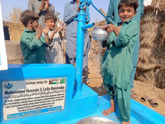 Tiefere Oberflächen Brunnen mit Handpumpe
